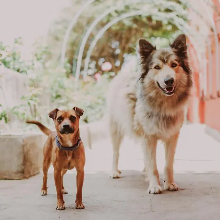 Casa Jurado Auberge de jeunesse